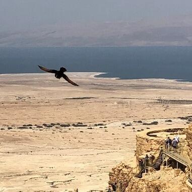 &lt;p&gt;&amp;#160;&lt;/p&gt; &lt;p&gt;&lt;span class=&quot;firstRow&quot;&gt;Firmung&lt;/span&gt;&lt;/p&gt;3