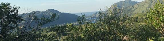 GEMEINSAM&#160; DURCHS LEBEN