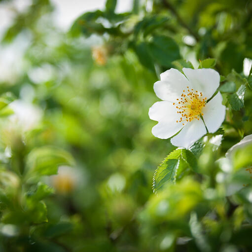 &lt;p&gt;&amp;#160;&lt;/p&gt; &lt;p&gt;&lt;span class=&quot;firstRow&quot;&gt;Sekretariat&lt;/span&gt;&lt;/p&gt;3