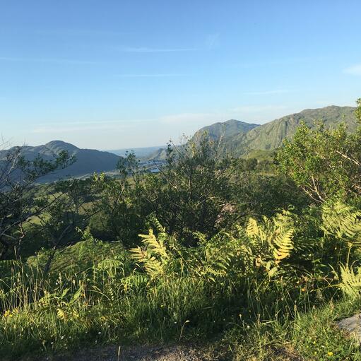 &lt;p&gt;&amp;#160;&lt;/p&gt; &lt;p&gt;&lt;span class=&quot;firstRow&quot;&gt;Kirchgemeinde&lt;/span&gt;&lt;/p&gt;3