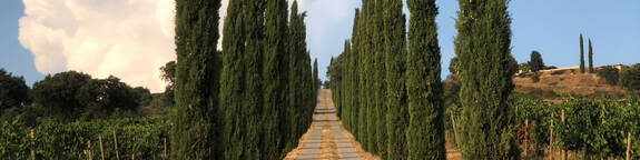 Unser Team ist für Sie da!